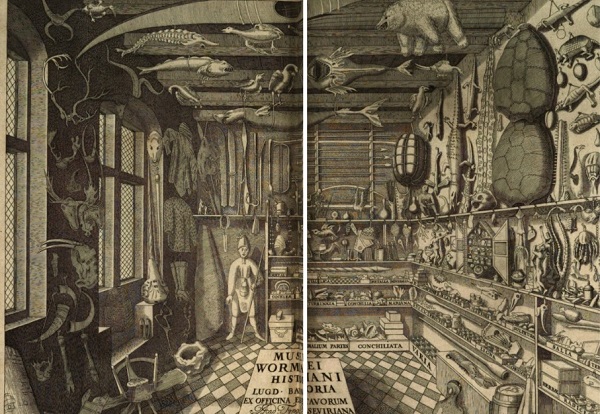 Gabinetes de curiosidades, los predecesores de los museos (Folio Complutense)