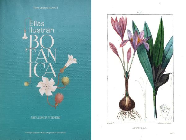 Ellas ilustran botánica: arte, ciencia y género (Folio Complutense)