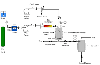 Scheme of a SAS device