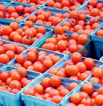 In Spain, during the year 2003, 1971 tonnes of tomatoes were allocated for processing.