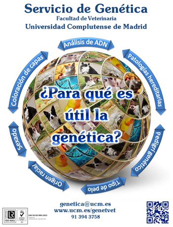 Genetic Service Image