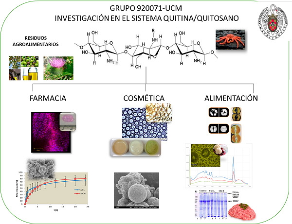 Esquema de oferta tecnológica del grupo Investigaciones en el sistema quitina quitosano.