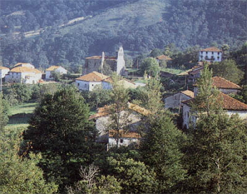 Rural landscape in a Mediterranean forest.