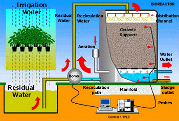 Biorreactor para la descontaminación de aguas residuales.