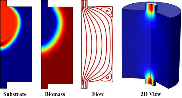 Simulation of a bioreactor.