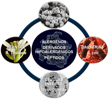 Figure 2. Expression systems used to produce recombinant proteins. 