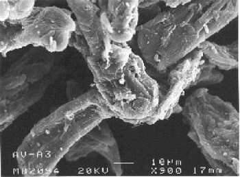 Figure 2. Micrograph of the nasal powder.