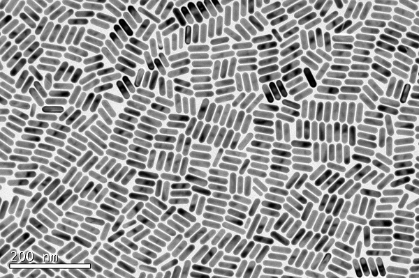 Nano-palitos de oro ultramonodispersos que se comportan como clones desde un punto de vista óptico. / Guillermo González Rubio.