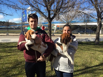 Los doctorandos Abel y Alicia han preparado a los Beagles para la ocasión. / J. S. 