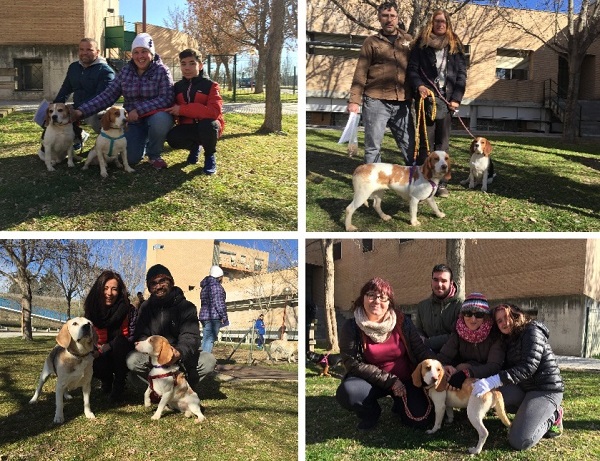 Las cuatro familias posan de izq. a dcha: Chinchán, Pandora, Blanqui y Turrón. / J. S.