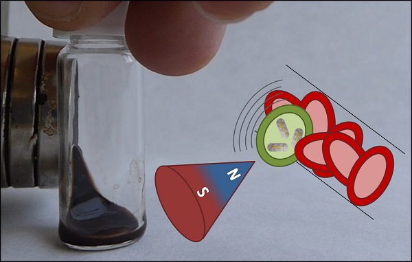 Representación de la nanoestructura con propiedades magneto-plasmónica. / Jesús Ovejero. 