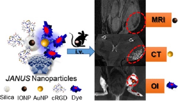 Composición y aplicación de la nanoplataforma JANUS para imagen medica multimodal. / Marco Filice.