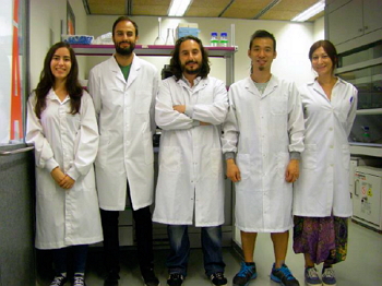 Grupo de Nanobiotecnologia para Ciencias de la Vida / UCM.