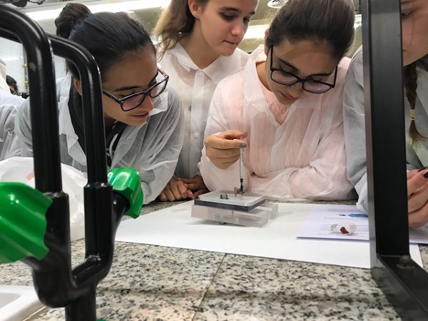 Una actividad de la Semana de la Ciencia en la facultad de Físicas. / UCM.