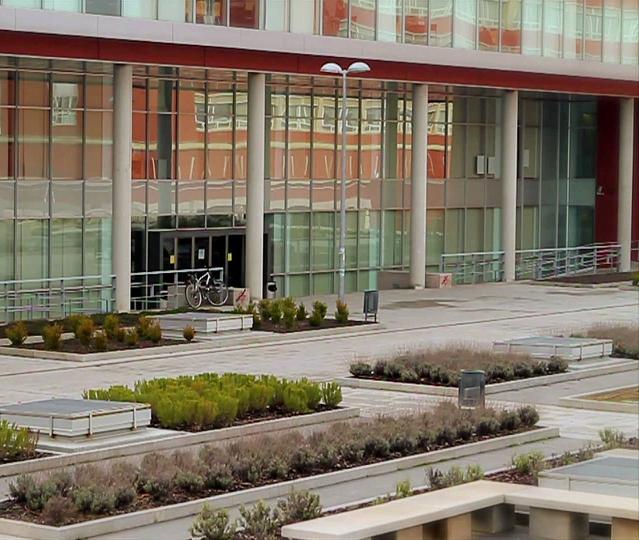 Filología edificio D