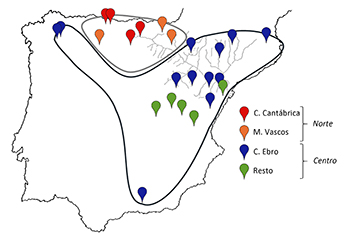 Principales haplotipos y grupos genéticos identificados con  el estudio de dos genes mitocondriales en las poblaciones españolas de cangrejo de río. / UCM. 