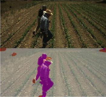 Detección de obstáculos en vídeos de campos de maíz. / RHEA.