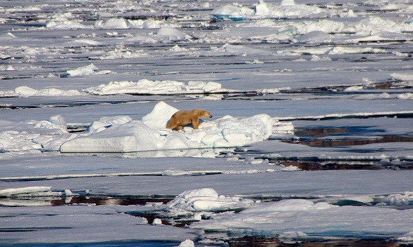 La principal amenaza del cambio climático en el Ártico es el deshielo. / Juan-Vidal Díaz. 