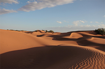 Campo de dunas en Marruecos. Autor: Multivac42.