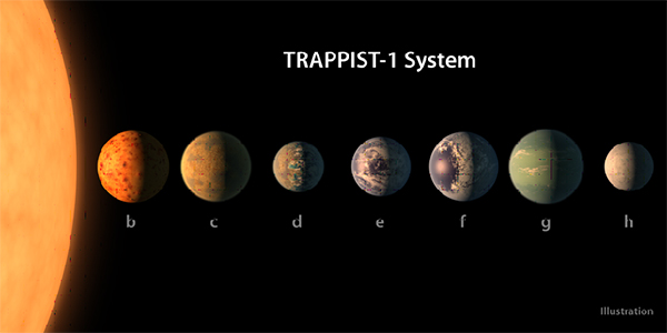 Ilustración de los planetas del sistema TRAPPIST-1 con datos reales de sus tamaños, masas  y distancias orbitales. / Autores: NASA / JPL-Caltech.