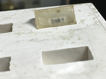 Una de las muestras del laboratorio incrustada en una resina y acompañada de su referencia. / UCM.