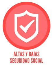 Altas y bajas en la Seguridad Social