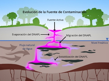 Figura 2. Migración del DNAPL a través del subsuelo (elaboración propia)