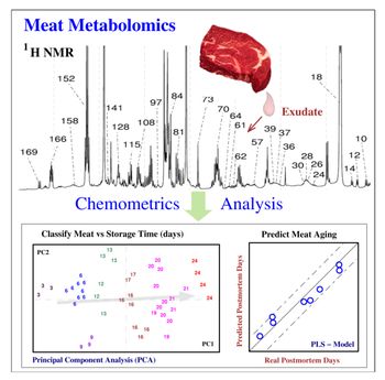 Gráfico sobre metabolismo cárnico
