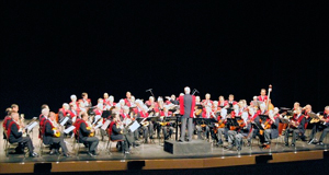 Orquesta de Pulso y Púa de la Universidad Complutense de Madrid Orquesta de Pulso y Púa de la Universidad Complutense de Madrid