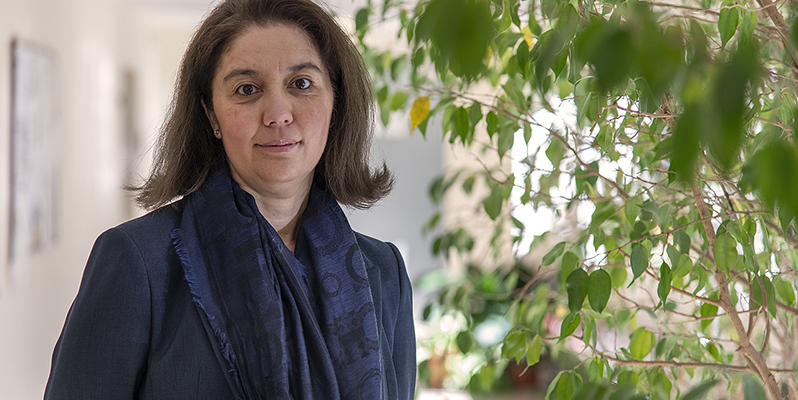 La catedrática Amparo Grau lidera, en el Subcomité de Tributación Ambiental de la ONU, los trabajos sobre compensaciones de emisiones