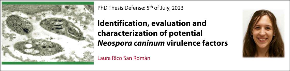 Defensa de la tesis doctoral de Laura Rico "Identificación, evaluación y caracterización de posibles factores de virulencia de Neospora caninum"