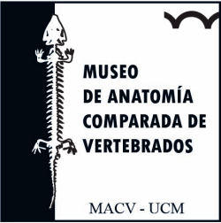 Logo MACV