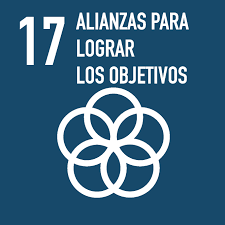 ODS 17: Revitalizar la Alianza Mundial para el Desarrollo Sostenible |  Agenda 2030