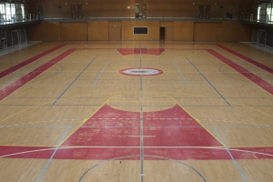 Baloncesto, balonmano/fútbol sala y voleibol