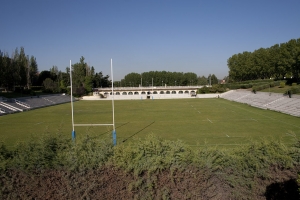 Campo de rugby hierba