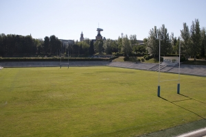 Campo de rugby hierba