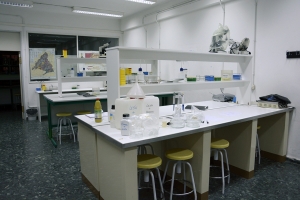 Laboratorio 4