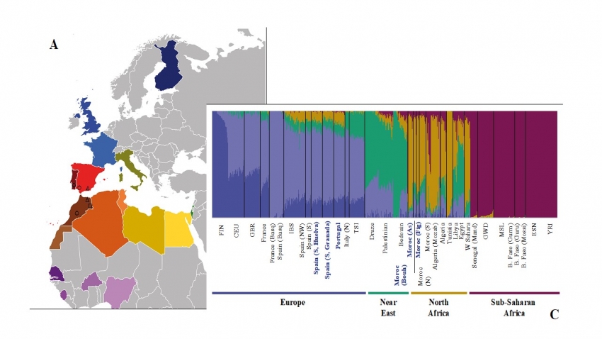 Estructura genómica y ancestría global de poblaciones europeas y africanas