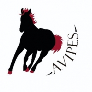 logo avipes