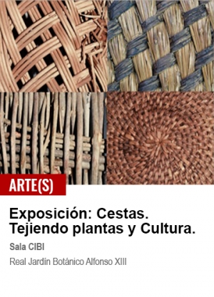 cestas. tejiendo plantas y cultura