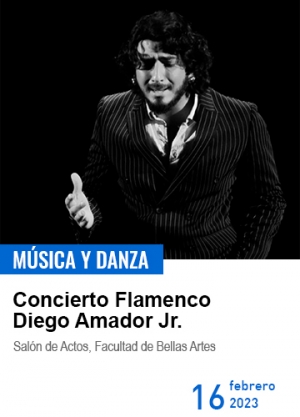 flamenco-16-feb