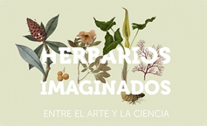 herbarios imaginados 330x200