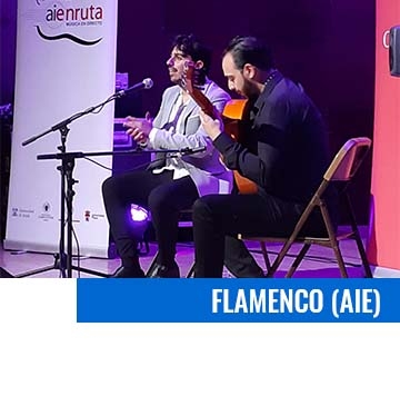 enlace al ciclo de Flamenco