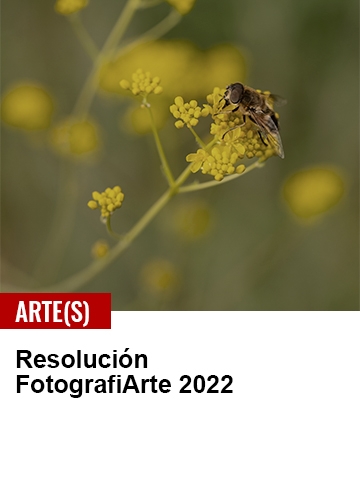enlace a resolución del concurso Fotografiarte 2022