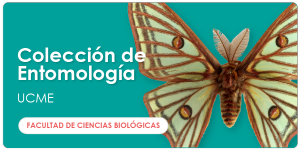 web_ugph_banners_ciencias_coleccionentomologia_600x300_es