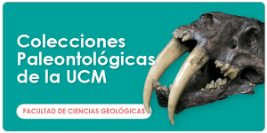 web_ugph_banners_ciencias_coleccionespaleontologicas_600x300_es