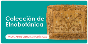 web_ugph_banners_ciencias_coleccionetnobotanica_600x300_es