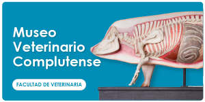 web_ugph_banners_cienciassalud_veterinario_600x300_es