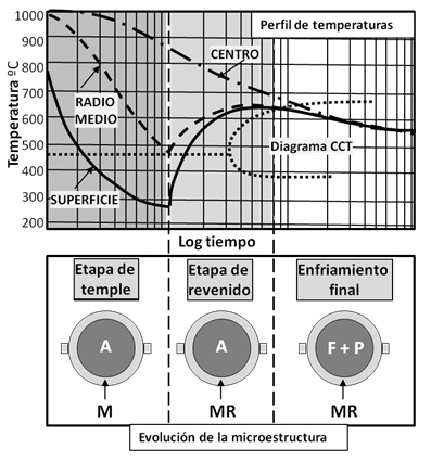 Perfil de temperaturas y evolución microestructural en el tratamiento térmico de barras corrugadas (Rebar). A: Austenita, M: Martensita, MR: Martensita revenida, F: Ferrita, P: Perlita