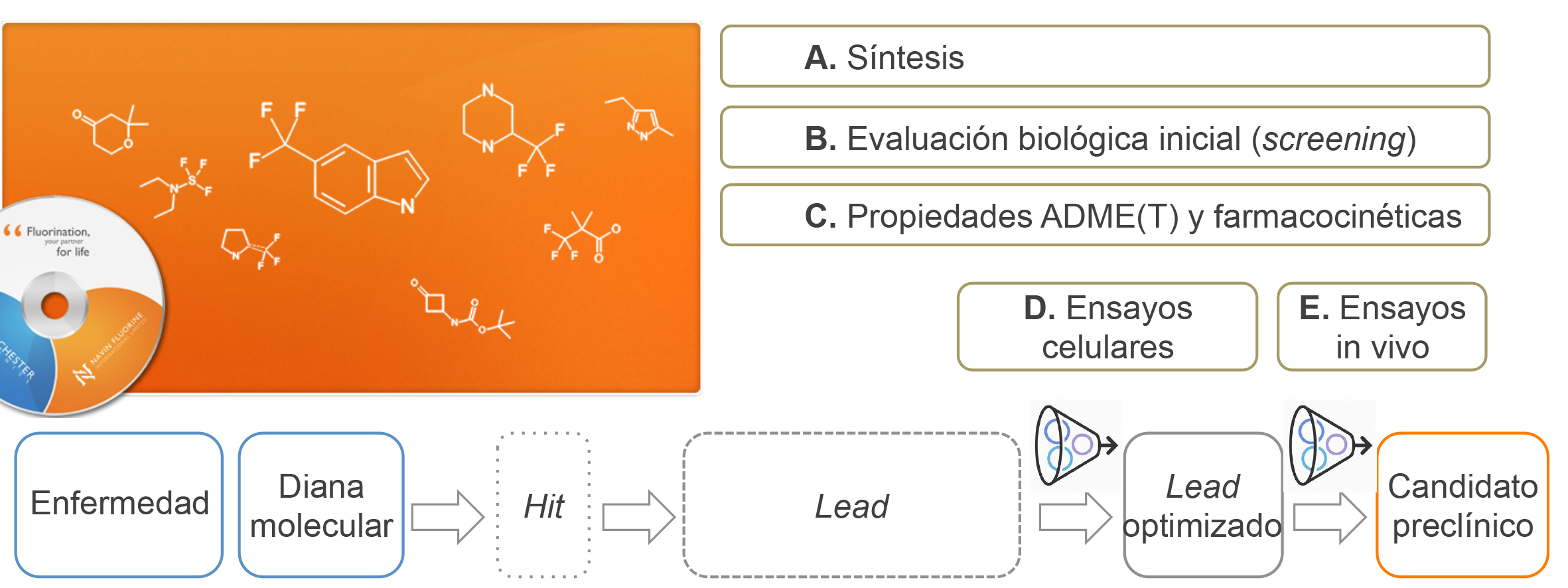 Etapas de la fase preclínica en un programa de química médica para el descubrimiento de fármacos